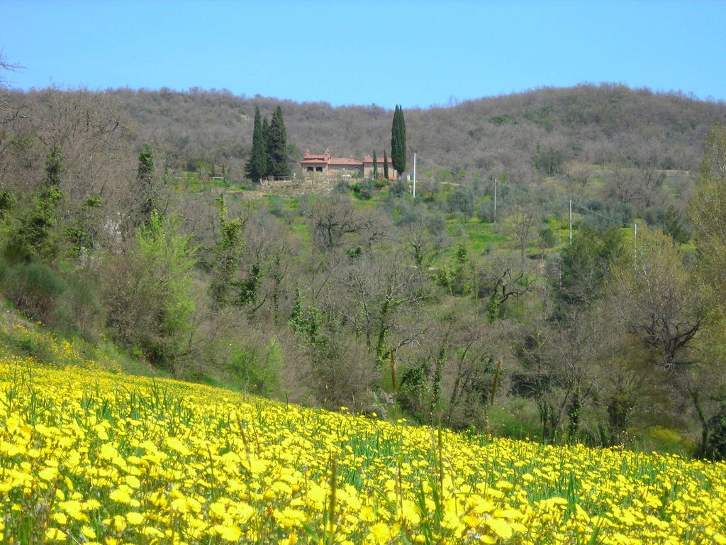 Allegro Agriturismo Argiano アレッツォ エクステリア 写真