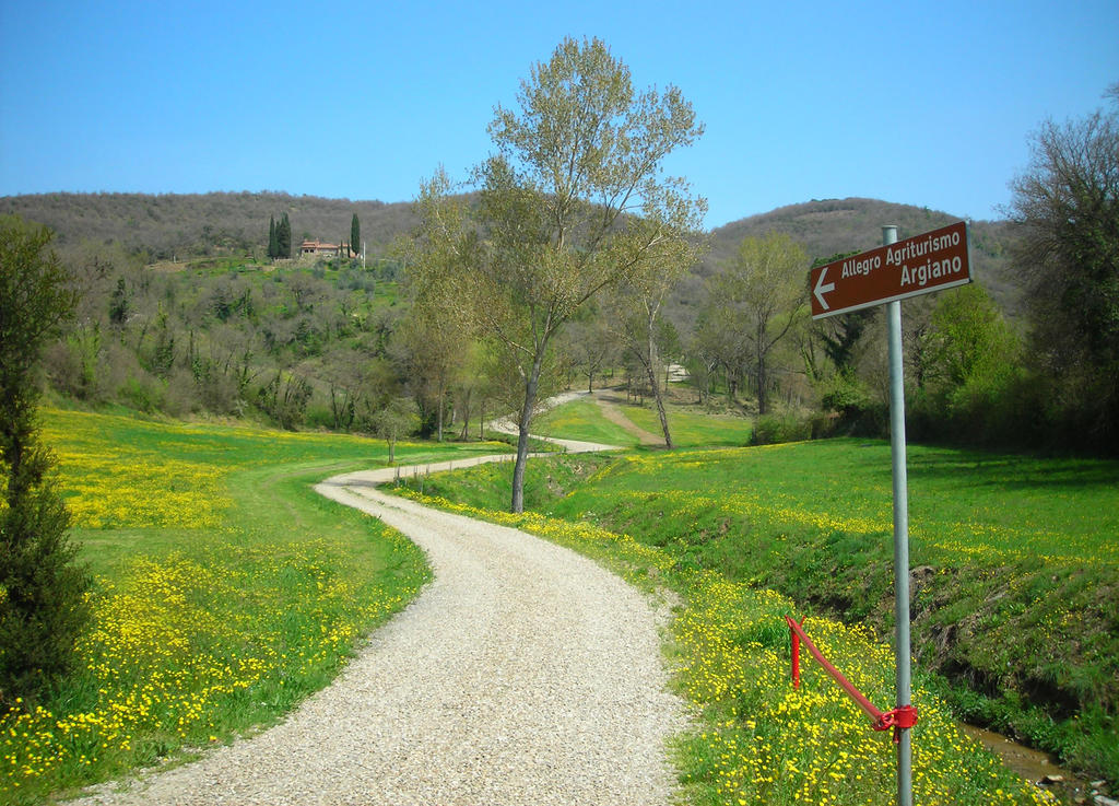 Allegro Agriturismo Argiano アレッツォ エクステリア 写真
