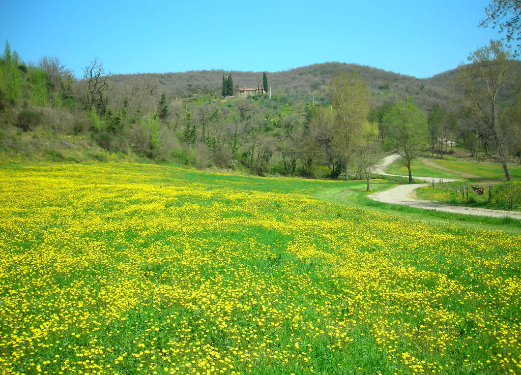 Allegro Agriturismo Argiano アレッツォ エクステリア 写真